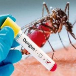 डेंगी संक्रमणबाट मृत्यु हुनेको संख्या २४ पुग्यो